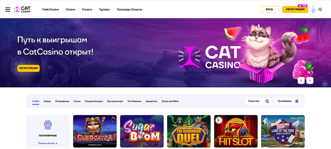Кэт казино